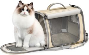 Pet Carriers for Cats